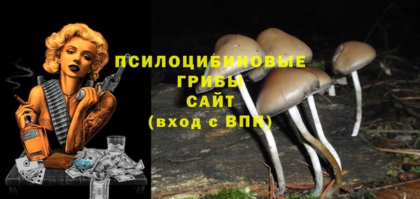 mdma Кинешма