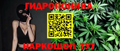 крисы Коммунар