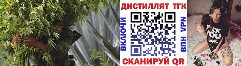 ТГК Wax  Урюпинск 