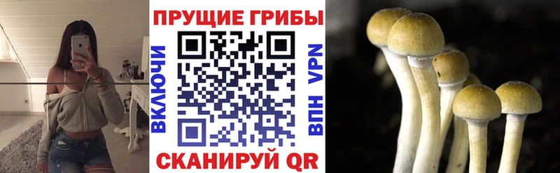 Галлюциногенные грибы мухоморы  мега вход  Урюпинск  наркошоп 