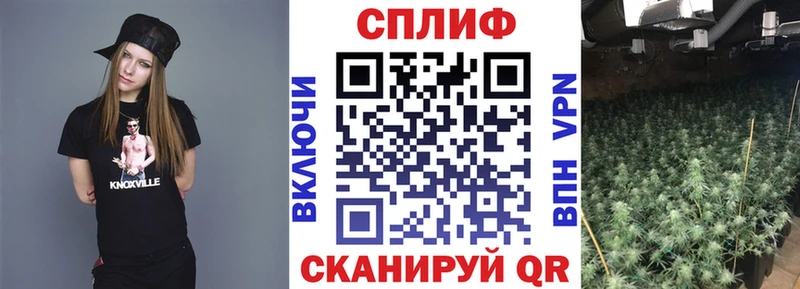 Каннабис индика Урюпинск